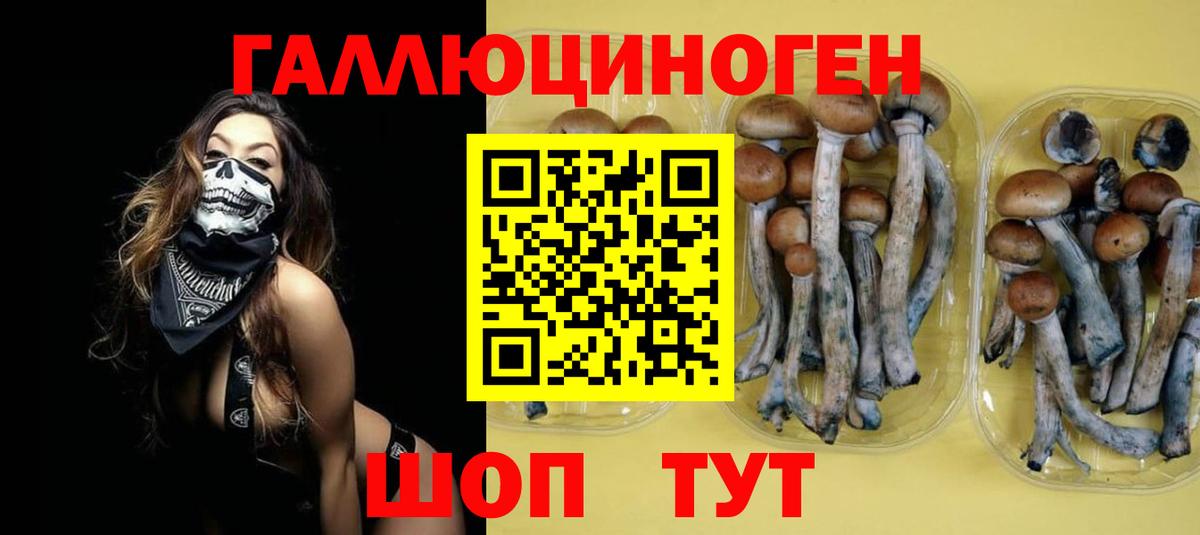 Псилоцибиновые грибы Magic Shrooms Городец