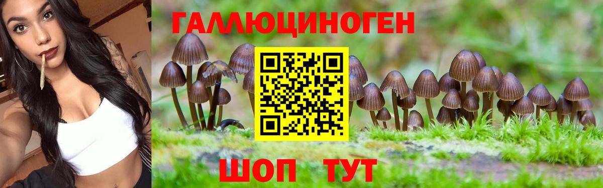 Городец  Галлюциногенные грибы MAGIC MUSHROOMS  Вход с VPN 